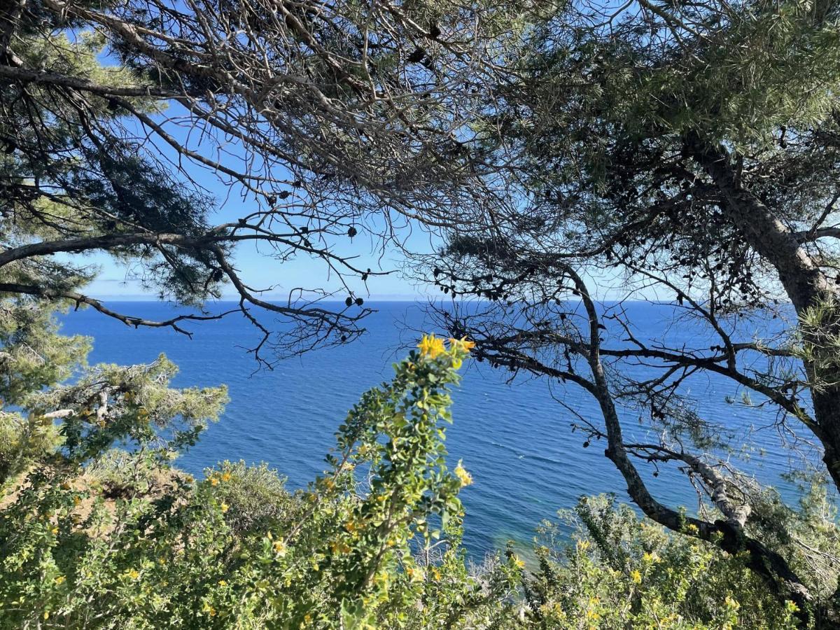 Appartement Mignon Calme Douillet Ascenseur Clim Etage Eleve Proche Parking Et Toutes Commodites Au Coeur Du Toulon Historique المظهر الخارجي الصورة